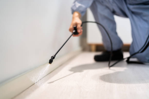 Rodent Entry Point Assessment in Tulare