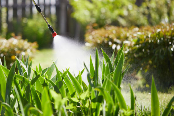 Tamper-Resistant Bait Stations for Rodents in Tulare