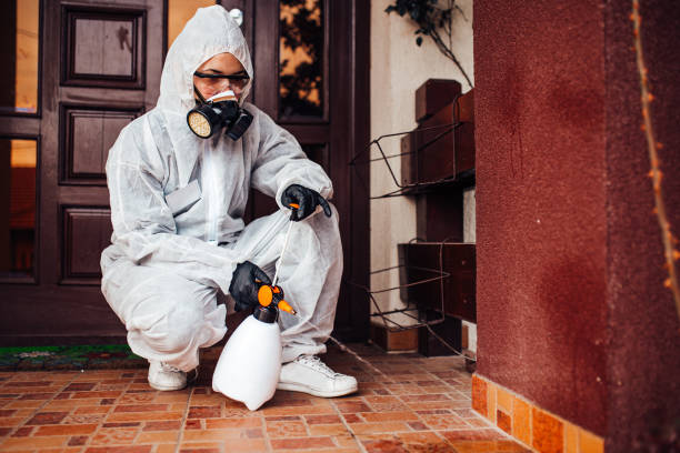 Attic and Crawl Space Rodent Treatment in Tulare